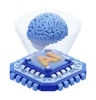 Ai Brain Chip