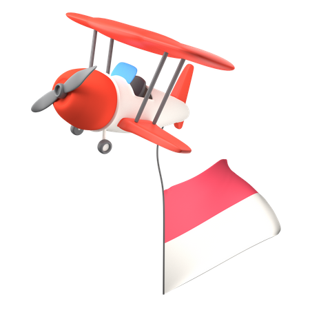 Airplane Flag  3D Icon