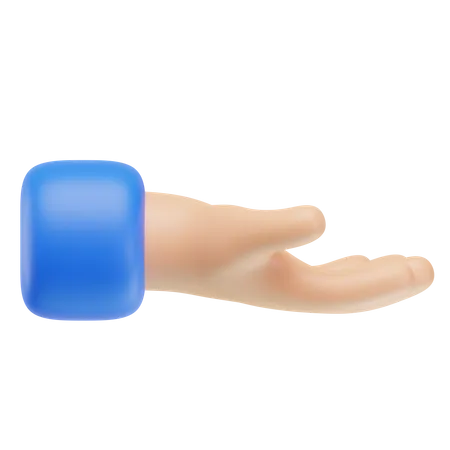 Handbewegung akzeptieren  3D Icon