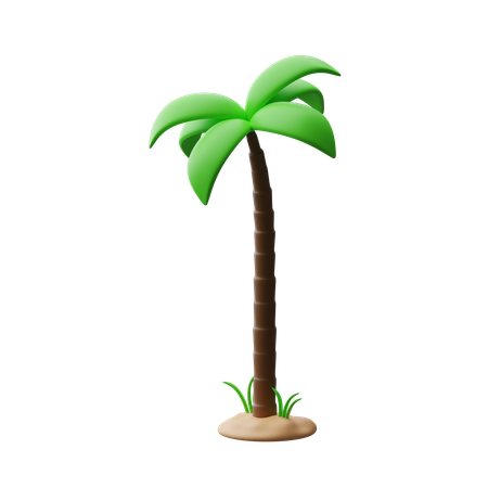 Albero di cocco  3D Icon