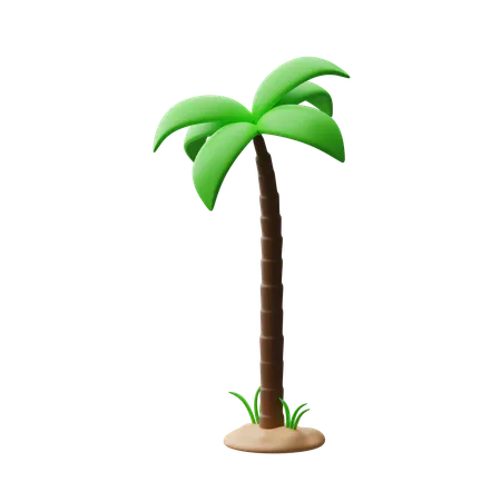 Albero di cocco  3D Icon