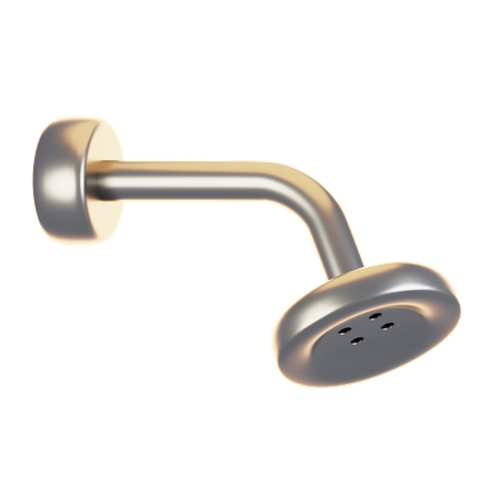 Alcachofa de la ducha  3D Icon