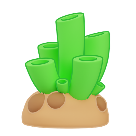 Algae  3D Icon