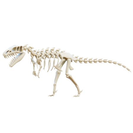 Allosaurus  3D Icon