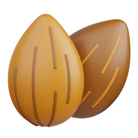 Almond  3D Icon