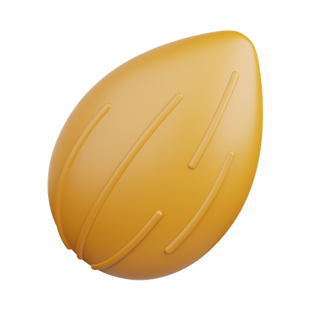 Almond  3D Icon