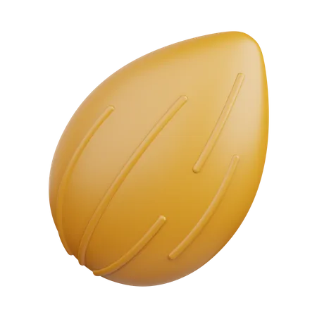 Almond  3D Icon