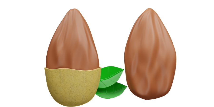 Almond  3D Icon