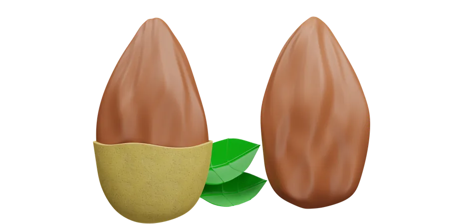 Almond  3D Icon