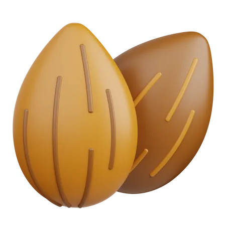 Almond  3D Icon