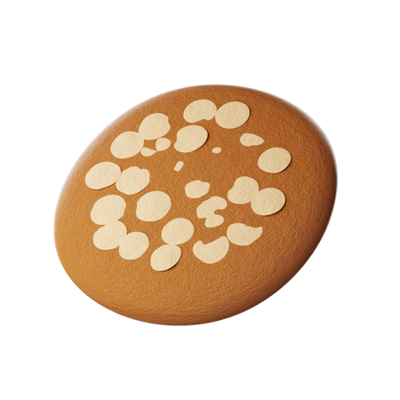 Almond Chocolate Cookies  3D Icon