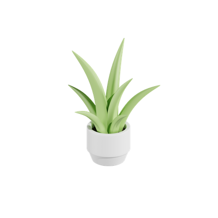 Aloe Plant  3D Icon