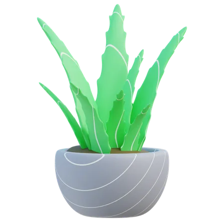 Aloe Vera  3D Icon