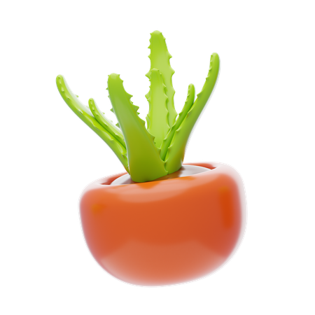 Aloe Vera  3D Icon