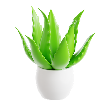 Aloe Vera  3D Icon