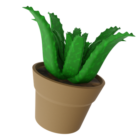 Aloe vera pot  3D Icon