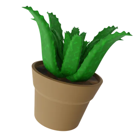 Aloe vera pot  3D Icon