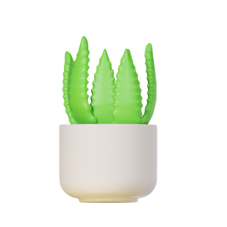 Aloe Vera Plant  3D Icon