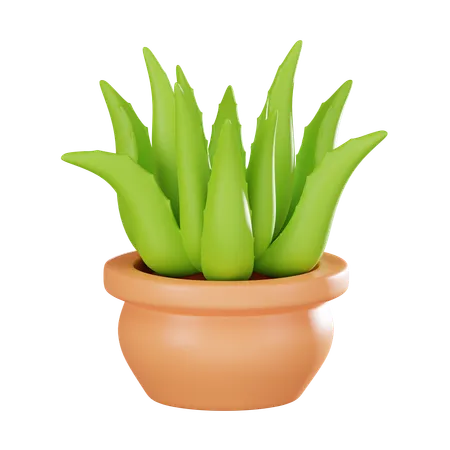 Aloe vera plant pot  3D Icon