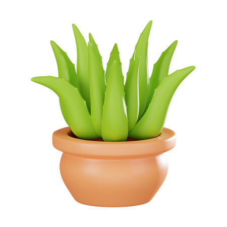 Aloe vera plant pot  3D Icon