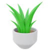 Aloe Vera Plant Pot