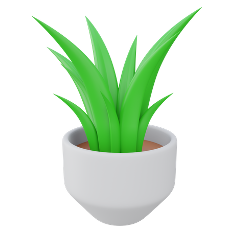 Aloe Vera Plant Pot  3D Icon