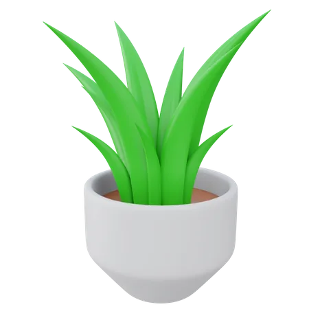 Aloe Vera Plant Pot  3D Icon