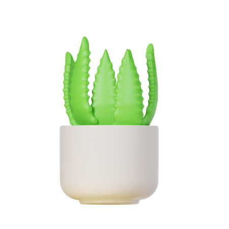 Aloe vera  3D Icon