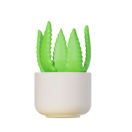 Aloe vera  3D Icon