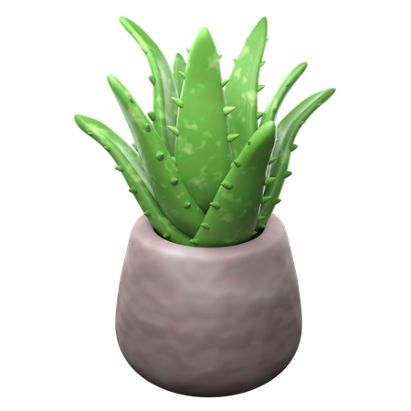 Aloe vera pot  3D Icon