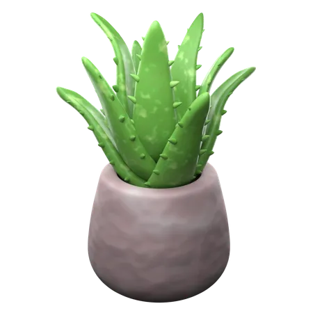 Aloe vera pot  3D Icon