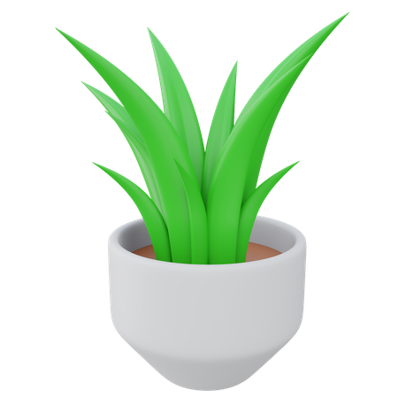 Pot de plante d'aloe vera  3D Icon