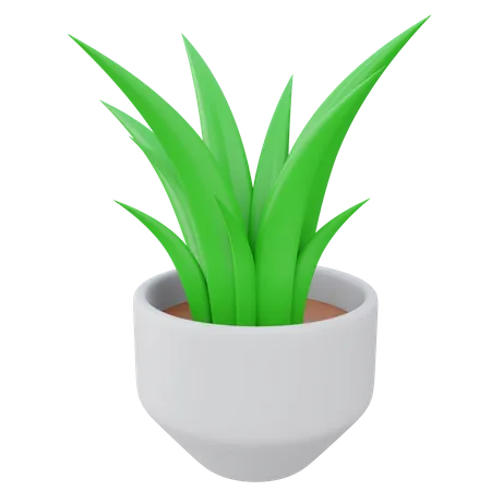 Pot de plante d'aloe vera  3D Icon