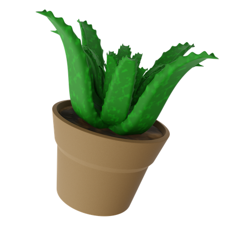 Aloe-Vera-Topf  3D Icon