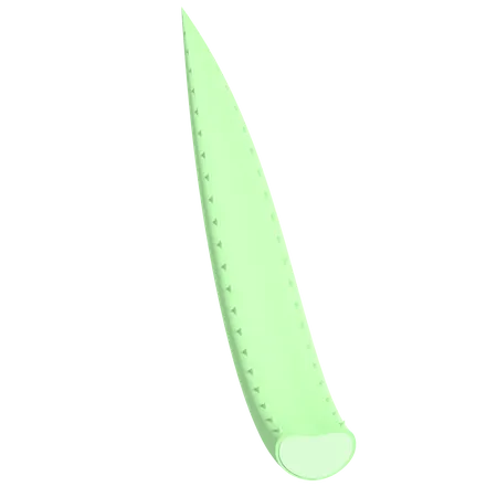 Aloe vera  3D Illustration
