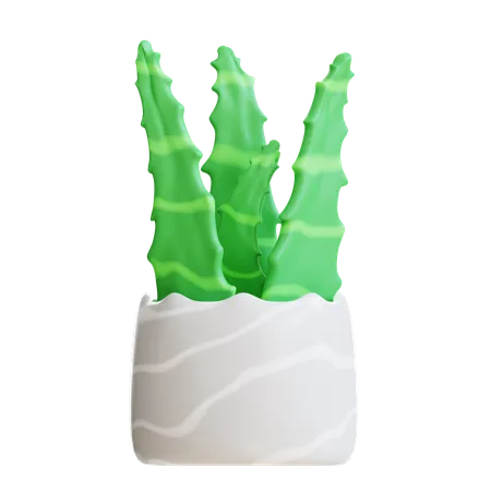 Aloevera Plant  3D Icon