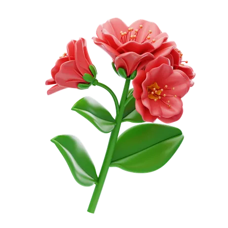 Alstroemeria  3D Icon