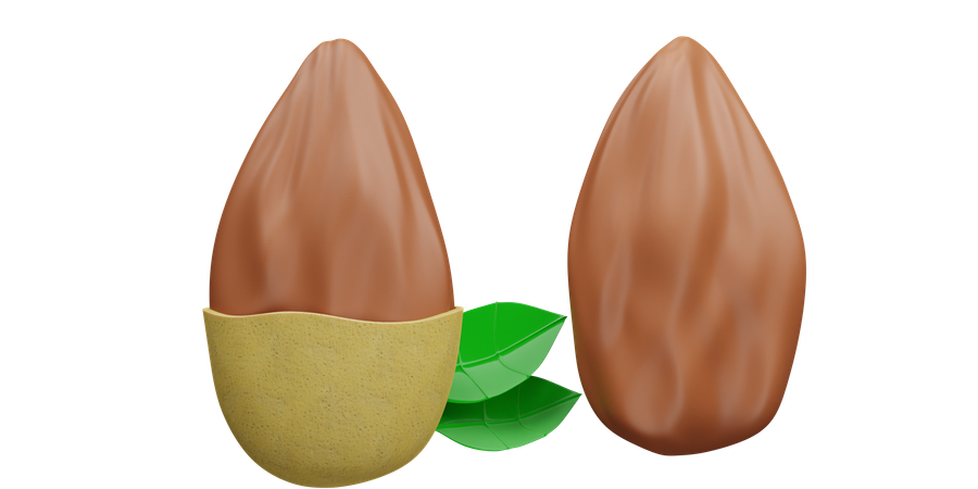 Amande  3D Icon