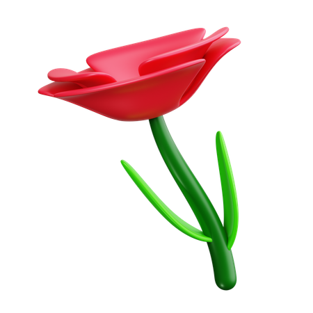 Amapola  3D Icon