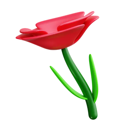 Amapola  3D Icon