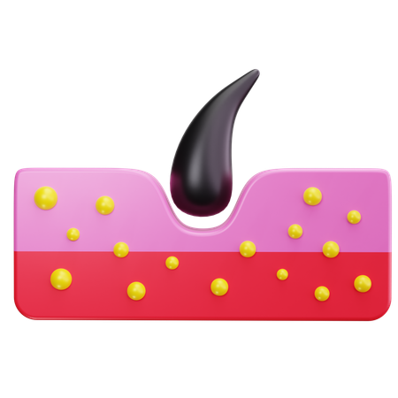 Anatomia da pele  3D Icon