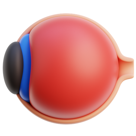 Anatomía del globo ocular  3D Icon