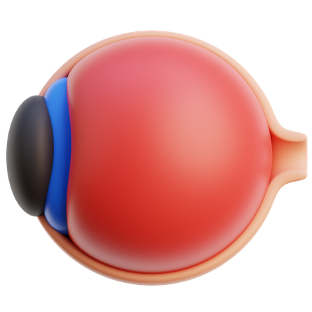 Anatomia do globo ocular  3D Icon