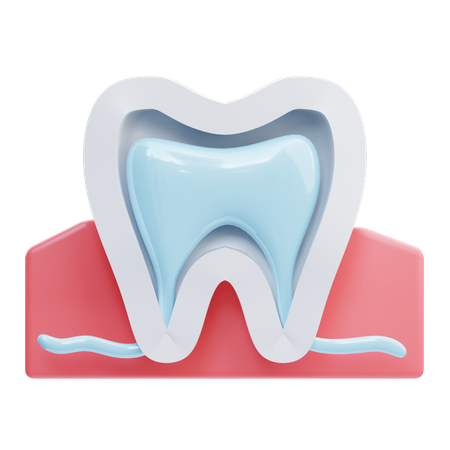 Anatomie dentaire  3D Icon