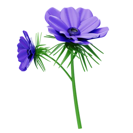 Anemone  3D Icon