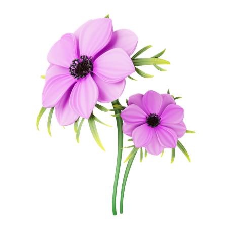 Anemone  3D Icon