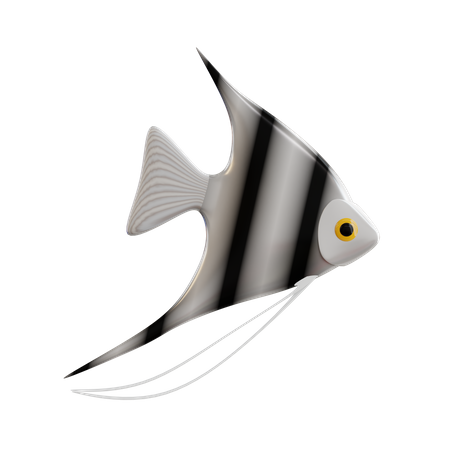 Angelfish  3D Icon