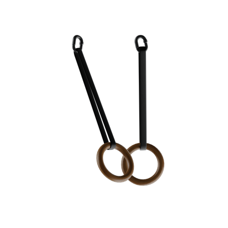 Anillo de gimnasia  3D Icon
