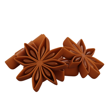 Anis étoilé  3D Icon