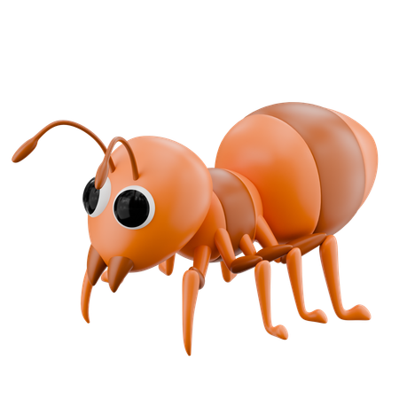 Ant  3D Icon